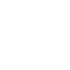 Zoom Icon